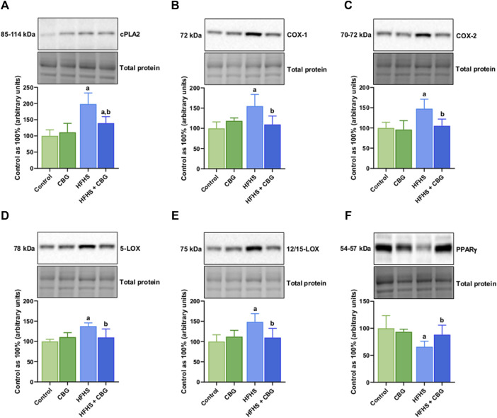 The total intramuscular expression of proteins involved in the eicosanoid synthesis pathway, i.e., cytosolic phospholipase A2 (cPLA2) (A), cyclooxygenase 1 and 2 (COX-1 and COX-2) (B,C), 5- and 12/15-lipoxygenase (5-LOXand 12/15-LOX) (D,E), as well as peroxisome proliferator-activated receptor gamma (PPARγ) (F) in the control group (rats fed a standard chow) and high-fat-high-sucrose diet (HFHS) group after 2-week cannabigerol (CBG) administration in the red gastrocnemius muscle. The total expressions of the abovementioned proteins are presented as percentage differences compared to the control group which was set as 100%. The data are expressed as mean values ±SD and are based on six independent determinations in each group (n = 6); ap < 0.05 indicates a significant difference: the control group vs the examined group; bp < 0.05 indicates a significant difference: HFHS group vs HFHS + CBG group.