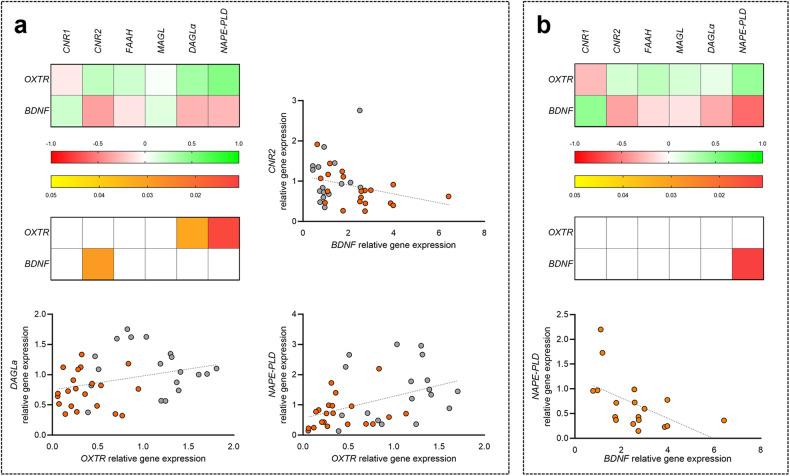 Correlation analysis between ECS components and OXTR and BDNF in human PBMCs.Heat maps representing the correlation analysis between ECS components and previously studied OXTR and BDNF genes expression, in the overall human population under study (a) or in OCD patients alone (b). Cells filled in green to red gradient of the heat maps (upper part) represent Spearman’s r; cells filled in yellow to red gradient (lower part) represent p values (empty cells represent p values greater than 0.05). X/Y graphs represent the statistically significant individual correlations.