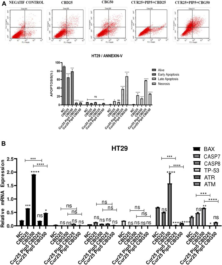 (A) Representative Annexin V-FITC/PI staining results for HT29 cancer cells at 72 h quantitative analysis and their values are mean ± SD of three independent experiments (B) Representative graph anti-apoptotic genes expression profiles of HT29 cells after 72 h. (ns: non-significant, *: p < 0.05, **: p < 0.01, ***: p < 0.001, ****: p < 0.0001).