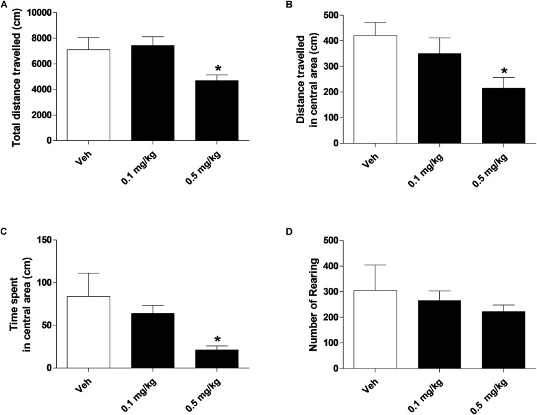 Effect of treatment with AKB48 (0.1 e 0.5 mg/kg, i.p.) on overall total distance traveled (A), total distance traveled and time spent in the central zone (B,C) and number of rearings (D) in rats. Data are expressed (see section Materials and Methods) as absolute values (cm A,B; sec C; n° of rearing D) and represent the mean ± SEM of 8 animals for each treatment. Statistical analysis was performed by one-way ANOVA followed by the Bonferroni’s test for multiple comparisons. ∗p < 0.05 vs. vehicle.