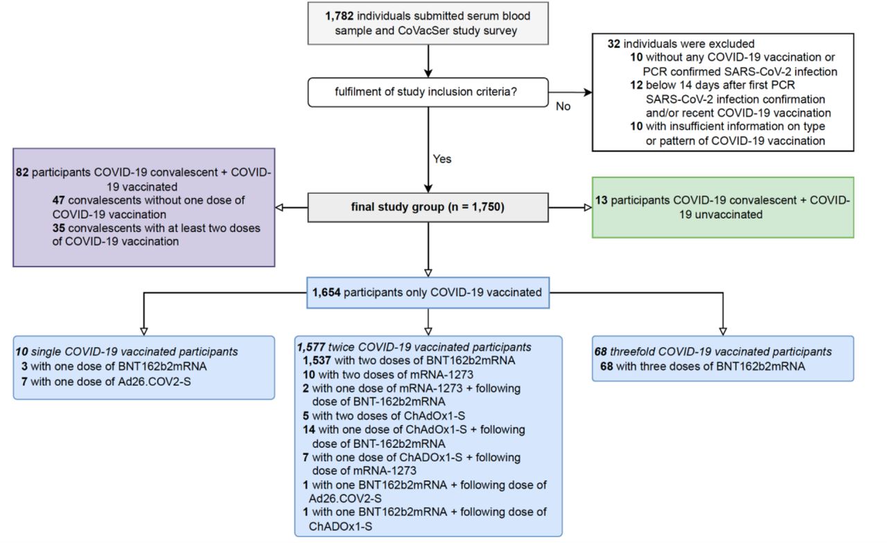 Enrolment of study participants and subjects’ characteristics concerning possible combinations of SARS-CoV-2 immunizationPCR: Polymerase Chain Reaction