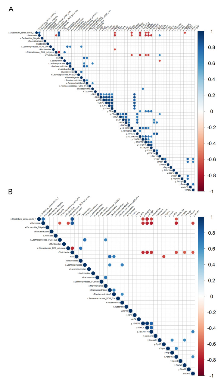 Correlation plot between altered fecal bacterial taxa and eCBome-related mediators measured in two gut segments (i.e., the duodenum and distal colon). (A) Correlation matrix showing Spearman correlations with Holm’s adjustment in the duodenum; (B) Correlation matrix showing Spearman correlations with Holm’s adjustment in the distal colon. Positive correlations are displayed in blue and negative correlations in red. Color intensity and size of the circles are proportional to the correlation coefficients. “x” refers to the first data set, the fecal bacterial taxa, while “y” refers to the second data set, the eCBome-related mediators and mRNAs measured in the two respective gut segments.