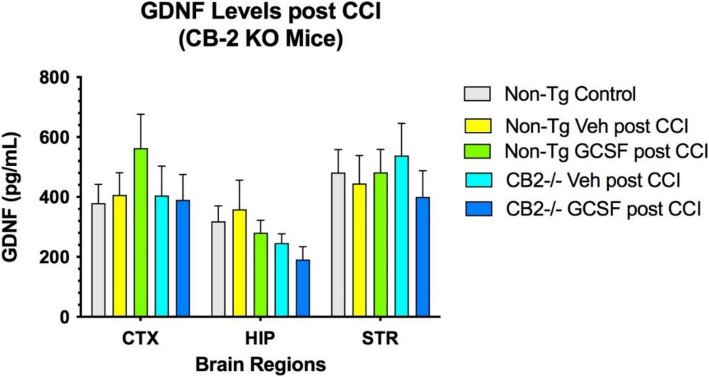 CGSF treatment did not alter GDNF levels in control or CB2R KO mice in the 3 brain regions. 2-way ANOVA showed that brain regions contributed 29% of total variation (p < 0.05) and treatment effect contributed 6% to total variation. (n = 4 mice per cohort) Tukey’s multiple comparisons test did not reveal significant differences in GDNF levels between treatments