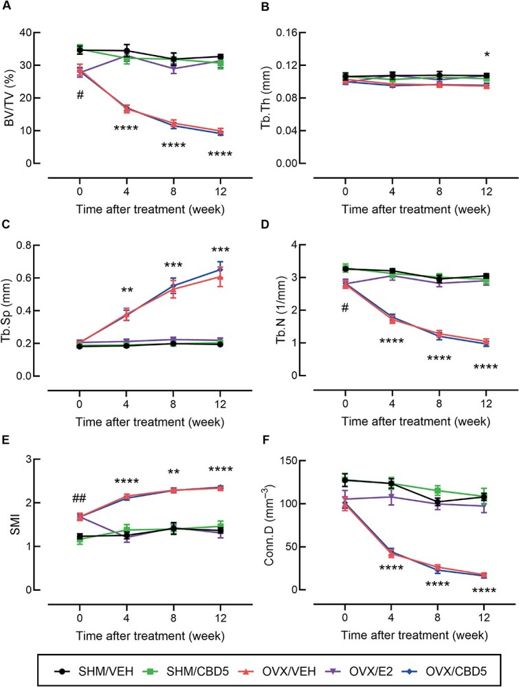 In vivo micro-CT data measured at 0, 4, 8, and 12 wk of treatment from the following rat groups: sham-operated rats received vehicle (SHM/VEH), SHM rats received 5 mg/kg/d cannabidiol (SHM/CBD5), ovariectomized rats received vehicle (OVX/VEH), OVX rats received 17β-estradiol (OVX/E2), and OVX rats received CBD (OVX/CBD5). (A) Bone volume fraction (BV/TV), (B) trabecular thickness (Tb.Th), (C) trabecular separation (Tb.Sp), (D) trabecular number (Tb.N), (E) structure model index (SMI), and (F) connectivity density (Conn.D). Statistical significance was determined using repeated measures one-way ANOVA with Dunnett’s test, comparing means of each time point within the same group to the mean of measurements at 28 wk of age (week 0). #p < .05, ##p < .01 (the OVX vs SHM groups at week 0); *p < .05, **p < .01, ***p < .001, p < .0001 (the OVX/VEH and OVX/CBD5 at a given time point vs their respective group at week 0), n = 5–10 per group.
