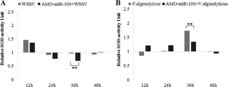 Effects of AMO-miR-100 interference on SOD activity of shrimp hemolymph.Shrimps were separated into different treatment group as in Fig. 4. PBS was use as a control. (A) Relative SOD activity after WSSV or AMO-miR-100 + WSSV treatment; (B) Relative SOD activity after V. alginolyticus or AMO-miR-100 + V. alginolyticus treatment. The SOD activity of PBS was used as an index as 1, each column represents the relative value compared to PBS.