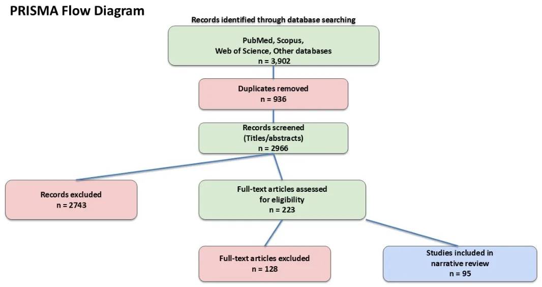 PRISMA 2020 flow diagram illustrating the literature search and study selection process.