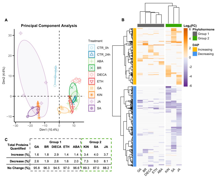 Cannabis (Cannabis sativa L.) glandular trichome disc cells were incubated in vitro on plates (n = 4) for 24 h with different phytohormone treatments, and their proteome was quantified (1400 proteins). Treatments were separated by principal component analysis (A) and hierarchical clustering (Ward’s method) by log2(fold-change) of the differentially abundant proteins (DAPs) (B). Non-significance assigned a log2(FC) of 0. The percent change of the total quantified proteome was tabulated for each phytohormone treatment (C). DAP was significant if p < 0.05 and fold-change either <0.67 or >1.5. Abbreviations: CTR_0h, 0 h control; CTR_24h, 24 h control; ABA, abscisic acid; BR, brassinolide; DIECA, diethyldithiocarbamate; ETH, ethephon; GA, gibberellic acid; KIN, kinetin; JA, jasmonic acid; SA, salicylic acid.