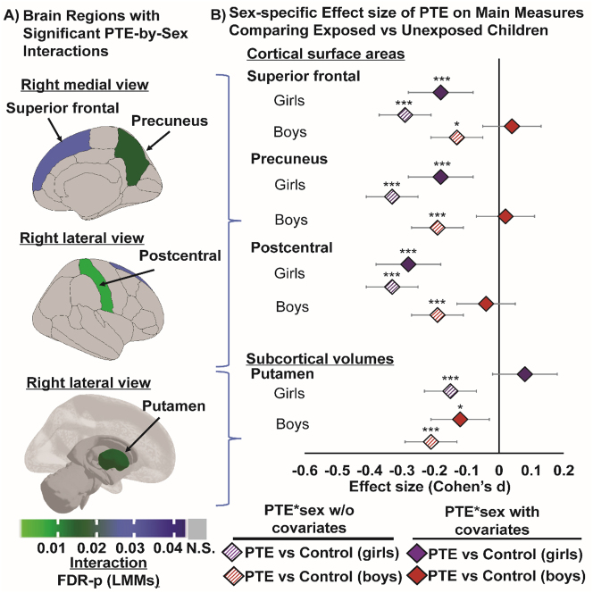 Sex-specific PTE effects are observed in cortical surface areas (in mm2) and subcortical volumes (in mm3). (A) Shows region specific brain measures that showed a significant sex-specific PTE effect (linear mixed models, adjusted for covariates, p-values are corrected using FDR). Top & middle images: show right medial and lateral views of region(s) that showed a significant sex-by-PTE interaction in our analyses of cortical surface areas; bottom image: shows right hemisphere lateral view of region(s) that showed a significant sex-PTE interaction in our analyses of subcortical volumes; (B) plots the Cohen’s d effect size and 95 % confidence intervals of sex-specific PTE effects on cortical surface area (mm2) and subcortical volume (mm3), and for each region shown in (A) first adjusting for sex only (base model without other co-variates) and then for sex and other covariates (covariate-adjusted model). The covariate-adjusted model included: the youth’s sex, age and race, parental education, annual family income, prenatal exposures to marijuana and alcohol as fixed effects, and MRI scanner ID as random effect. Negative values of effect sizes indicate a smaller surface area or subcortical volume when comparing each subgroup of children with PTE to their control counterparts. Asterisks in (B) indicate significant group differences between children with PTE versus controls before and after adjustment for covariates from post hoc analyses, where: *p-value <0.05, **p-value <0.01 and ***p-value <0.001.