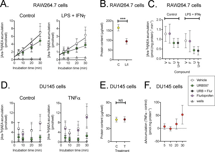 Uptake of 100 nM [Ara-3H]AEA into RAW264.7 and DU145 cells.Panel A-C show data for control and LPS + IFNγ-treated RAW264.7 cells; Panels D-F for control and TNFα-treated DU145 cells. Panels A, D show the time courses for the accumulation of radiolabel 5, 10, 20 and 30 min after addition of 100 nM of [Ara-3H]AEA. Note that the uptake is per well, and not normalised to the protein content (shown in Panels B and E). In Panel C, rates of uptake were determined for each experiment from the individual slopes of each the time course divided by the protein content. Shown are means and 95% confidence intervals, N = 8. Data was analysed using bootstrapped linear models (for details, see [40]). For the main effects model, the P values were: LPS + IFNγ, P<0.0001; flurbiprofen, P = 0.89; URB597, P<0.0001. For the interactions model, the P values of the three bivariate interactions and the trivariate interaction were all ~0.9. The time courses for uptake into DU145 cells shown in Panel D could not be used to obtain robust slope replots. In consequence, the difference in uptake (per unit protein) between TNFα-treated and control cells were determined for each time point. The data is shown in Panel F (means and 95% confidence intervals, N = 6–7). A one-way ANOVA not assuming equal variances gave a P value of 0.018. Note that at the 30 min incubation time point, the confidence limits do not straddle zero.