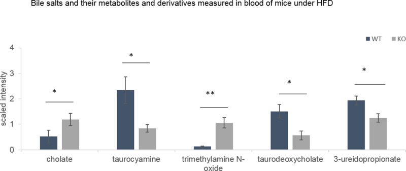 Blood bile salts and their precursors and derivative compounds measured during DIO 2 (30th week).Data from MS analysis (Metabolon analysis) expressed as mean +/-SEM. Two way ANOVA statistical analysis *: qvalue<0.05, **:qvalue<0.01.