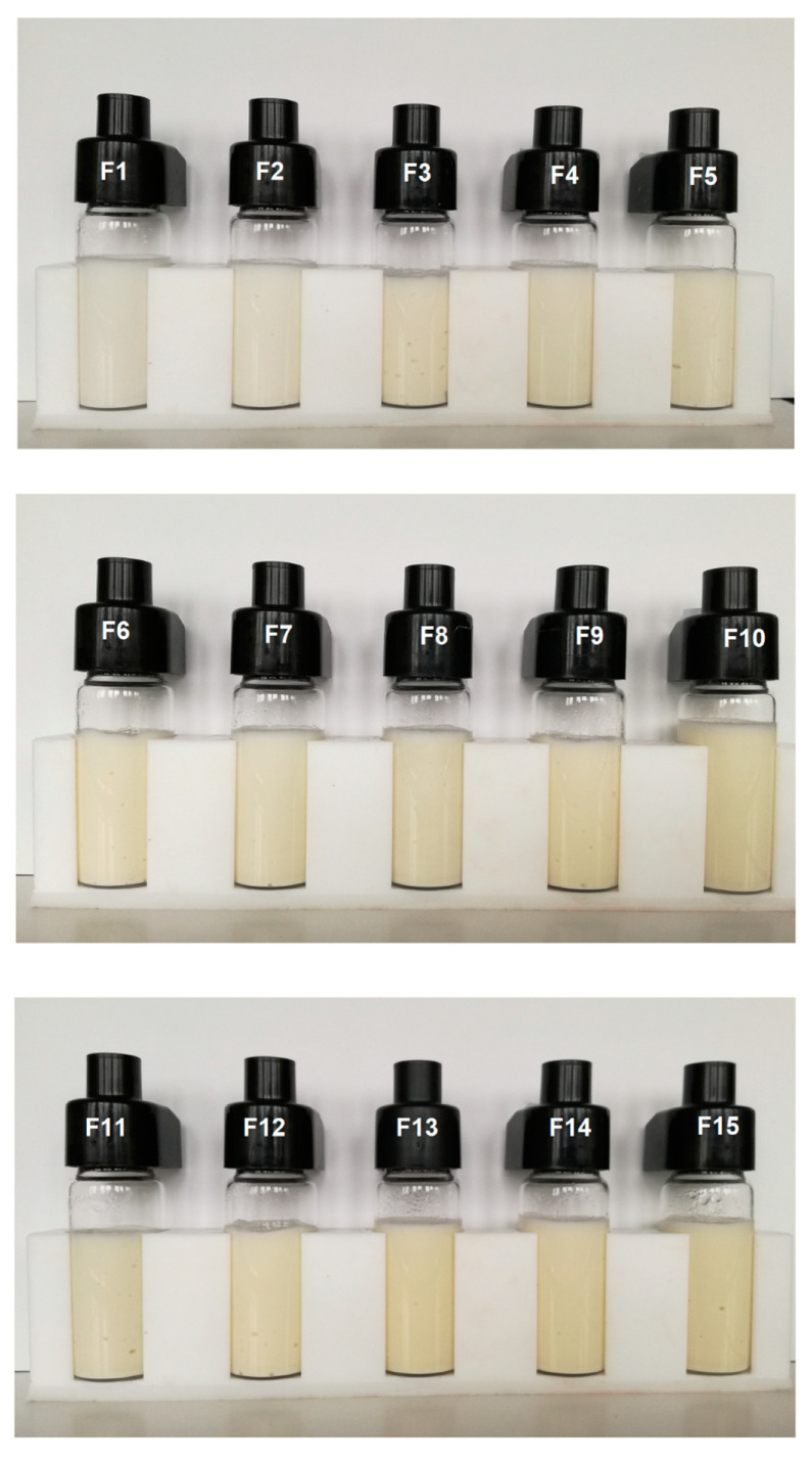 Photographs of the formulations after storage period.