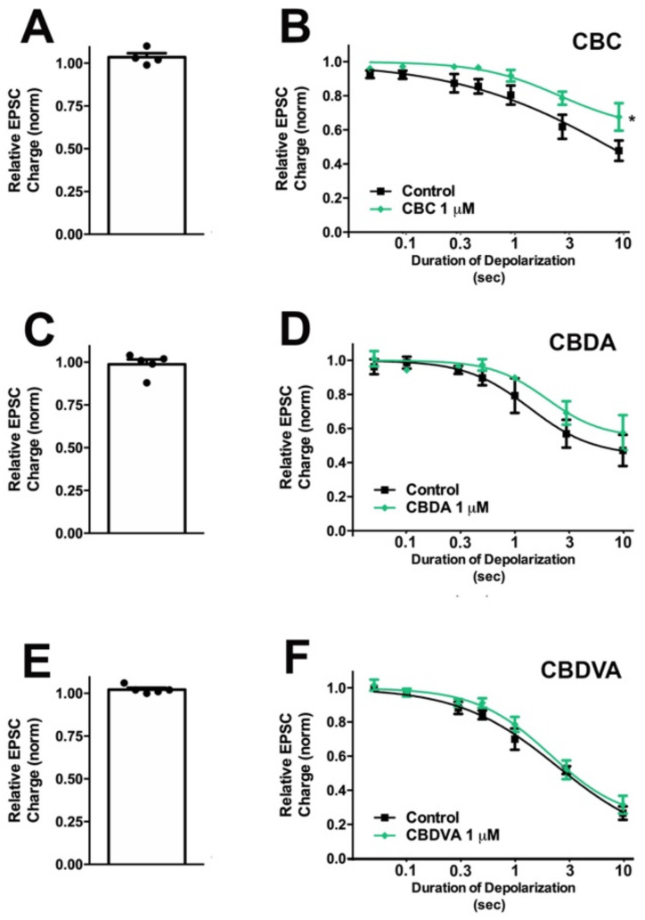 CBC modestly inhibits CB1 signaling in autaptic hippocampal neurons, while CBDA and CBDVA are without effect. (A) CBC, (C) CBDA, and (E) CBDVA have no direct effect on EPSCs. (B) CBC modestly inhibits maximal DSE. (D,F) CBDA and CBDV do not have a significant effect on DSE-mediated inhibition of EPSCs. *, p < 0.05, paired t-test for 10 s inhibition, drug vs. baseline.