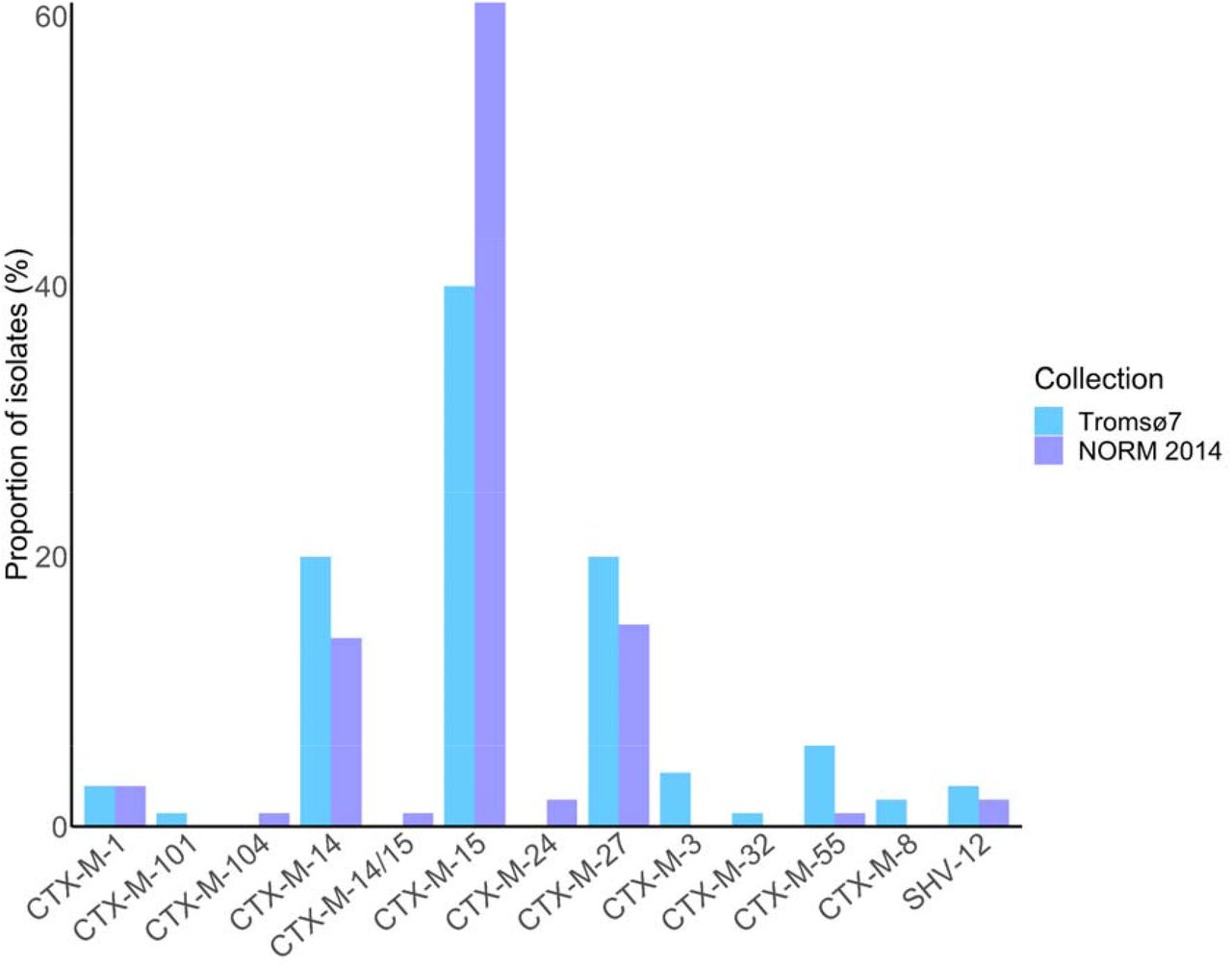 ESBL gene prevalence in ESBL-E. coli carriage isolates from the Tromsø7 study (n=166) and clinical isolates from NORM 2014 (n=118).
