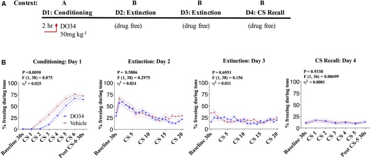 Pharmacological DAGL inhibition does not affect acquisition of conditioned-fear. (A) Schematic diagram of the experimental paradigm. (B) (Far left panel) % freezing by C57BL/6J male mice during acquisition of cue-conditioned fear when DO34 (50 mg kg−1) was injected IP 2 h prior to trial. (Middle panels) % freezing during auditory cue during extinction training days 2 and 3. (Far right panel) % freezing during extinction recall (n = 20 male mice per condition). F- and P-values and η2 for main effect of drug treatment show in each panel. All values are presented as mean ± SEM.