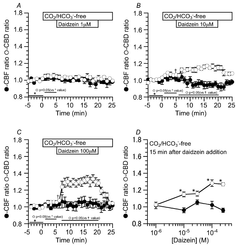 Concentration effects of daidzein on CBD and CBF in cHNECs at 37 °C. Prior to daidzein stimulation, cHNECs were perfused with the CO2/HCO3−-containing control solution, and then with the CO2/HCO3−-free control solution. The switch to the CO2/HCO3−-free control solution induced a small increase in CBD, but not CBF. (A) One µM of daidzein. Stimulation with one μM of daidzein did not change CBD or CBF. (B) 10 μM of daidzein. Stimulation with 10 μM of daidzein slightly increased CBD, but not CBF. (C) 100 μM of daidzein. Stimulation with 100 μM of daidzein increased CBD, but not CBF. (D) The concentration response study of daidzein. The ratio of CBD to CBF 15 min from the start of daidzein stimulation was plotted against the daidzein concentration. Daidzein increased CBD in a concentration-dependent manner without any increase in CBF. Daidzein at 100 µM maximally increased CBD in the cHNECs. * significantly different from the control value (p < 0.05).