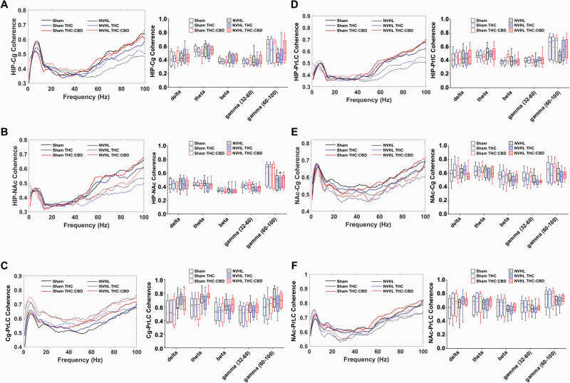 NVHL rats exhibit reduced baseline coherence within and between cortical and limbic regions, with variable impacts of cannabis vapor. A) Both vapor exposures enhanced HIP-Cg high-gamma coherence in the NVHL rats (N = 5 rats, 10 recordings per region) to levels that were no longer different from sham (N = 5 rats, 10 recordings per region) baseline coherence; B) THC-only vapor exposure reduced HIP-NAc high-gamma coherence in NVHL rats; C) Both types of cannabis-vapor exposures enhanced Cg-PrLC delta coherence in NVHL rats to levels above baseline coherence in sham rats; Cannabis vapor exposure did not alter D) HIP-PrLC, E) NAc-Cg, or F) NAc-PrLC coherence. *P < .05; **P < .01 compared to sham control baseline.