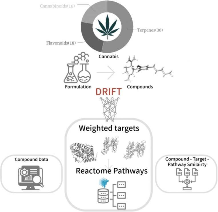 The workflow adapted in this study to identify the targets and map associated pathways for the formulation of cannabis compounds.
