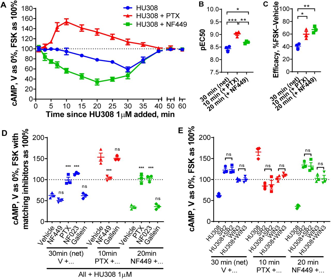 cAMP signaling in human primary PBMC.A. PBMC were incubated with 10µM forskolin (FSK) and HU308 (1µM) without inhibitors (○), or after pre-treatment with NF449 (10µM for 30 min, ▪), or with PTX (100ng/mL for 6 h, ▴). The graph shows mean ± SEM of three independent experiments performed in technical triplicate, each with cells from a separate subject (three subjects in total). B, C. HU308 concentration-response curve parameters; potency (B) and efficacy (C; span of curves as in Fig. S3). D, E. Stimulations were with 10µM forskolin and 1µM HU308 or vehicle for 30 min for net cAMP flux, 10 min for the stimulatory pathway (revealed by PTX), or 20 min for the inhibitory pathway (revealed by NF449). D. PBMC were additionally pre-treated as indicated with PTX, NF449, NF023 or gallein. Data are normalized to vehicle control as 0% and forskolin controls with matching inhibitors as 100%. Statistical comparisons are to the vehicle plus HU308 control within each set. E. PBMC were pre-treated as indicated, then co-incubated with forskolin (10µM), SR144528 (SR2, 1µM) or WIN55212-3 (WIN-3, 5µM), and HU308 (100nM) or vehicle for 10, 20, or 30 min. Data are normalized to vehicle control as 0% and forskolin control as 100%. All SR2 and WIN-3 conditions were significantly different from “HU308” control for peak signaling within each set (P < 0.001). Within each set, condition “SR2” was compared to “SR2 + HU308”, “WIN3” was compared to “WIN3 + HU308”, and had no significant difference. Graphs B-E show independent experiment means (from technical triplicate) as well as overall mean ± SEM of these three independent experiments each performed with cells from a separate subject (three subjects in total).