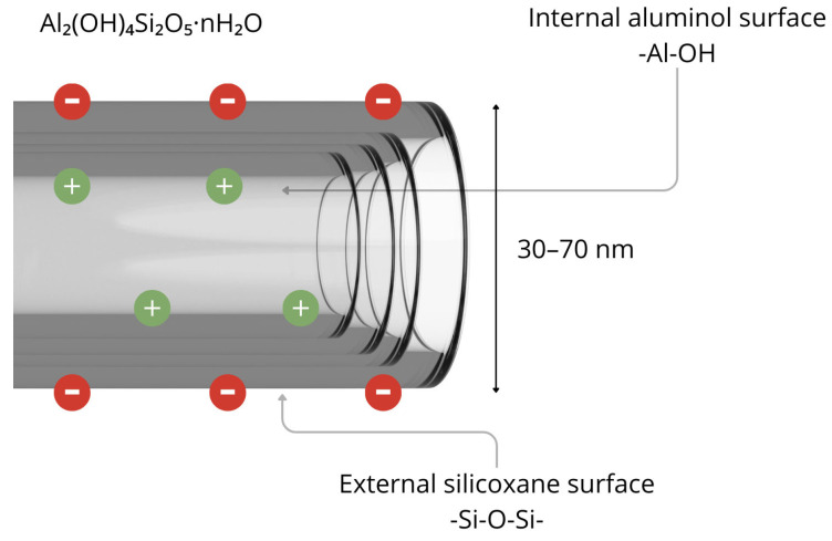 Structure of halloysite nanotube. Figure created by the authors.