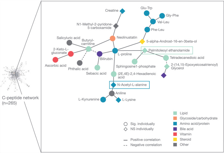 Subnetwork of metabolites (n = 26) that correlate with palmitoleoyl ethanolamide and are coordinately associated with C-peptide.The subnetwork is part of the network of all metabolites associated with C-peptide. The nodes represent metabolites and the edges significant partial correlations between metabolites after multiple testing correction (Benjamini-Hochberg, p ≤ 0.1). Round nodes correspond to metabolites significantly associated with C-peptide in the network but not when considered alone. Diamond nodes represent metabolites significantly associated with C-peptide also when considered alone. The model is adjusted for gestational age [days], maternal age [years] and processing time [minutes].