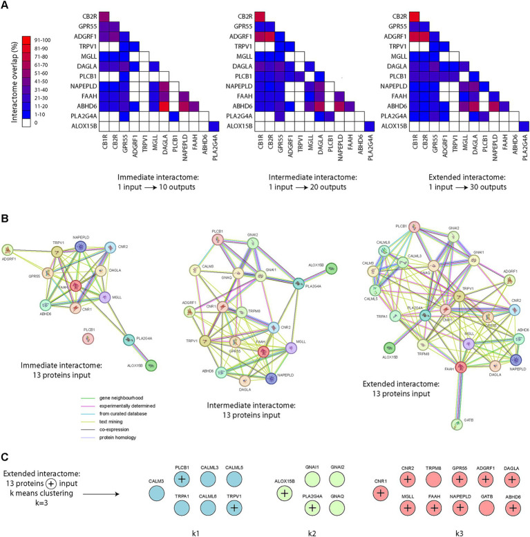 Endocannabinoid protein interactomes. (A) Pair-wise matrix comparisons of immediate, intermediate or extended protein interactomes overlap, using single proteins as input into the STRING database, from our list of 13 proteins of interest (based on the 13 transcripts of interest). Note the high interactome overlap with CB1R, CB2R, GPR55, ADGFR1 (GPR110) on one side and NAPE-PLD, DAGLA and ABHD6 on the other. The interactome of ALOX15B appears to not overlap with the other 12 proteins of interest, except PLA2G4A (14.3–18.2%). (B) Protein interactomes at an immediate, intermediate or extended level. (C) K means clustering (k = 3) was applied to identify segregation groups within the extended endocannabinoid protein interactome.