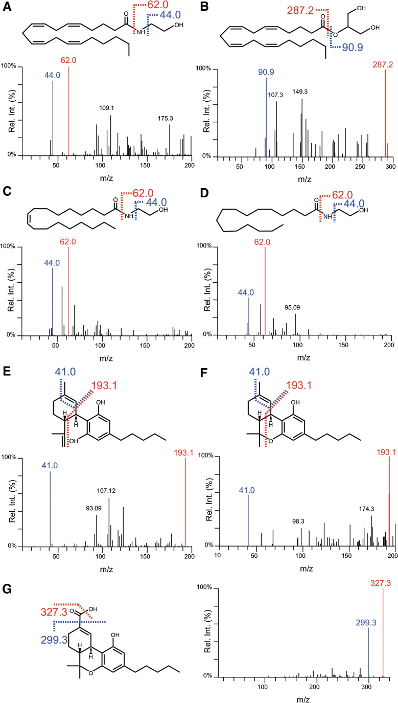 Chemical structures and MS/MS fragmentation characteristics following CID for (A) AEA, (B) 2-AG, (C) OEA, (D) PEA, (E) CBD, (F) Δ9-THC, and (G) Δ9-THC-COOH. Structurally diagnostic product ions used for quantitation (red) and qualifier ions (blue) have been displayed along with their expected m/z values. Δ9-THC, delta-9-tetrahydrocannabinol; Δ9-THC-COOH, 11-Nor-9-carboxy-Δ9-tetrahydrocannabinol; 2-AG, 2-arachidonoylglycerol; AEA, anandamide; CBD, cannabidiol; CID, collision-induced dissociation; m/z, mass to charge ratio; MS/MS, tandem mass spectrometry; OEA, oleoylethanolamine; PEA, palmitoylethanolamine.