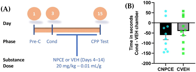 Effect of non-psychoactive cannabis extract (NPCE) on the acquisition of conditioned place preference (CPP). (A) Timeline of the behavioral procedure for Experiment 1. The paradigm consisted of a pre-conditioning phase (Pre-C), a conditioning phase (Cond), and a final test phase (CPP Test) on Day 15. During the conditioning phase (Days 4–14), animals were administered either NPCE (20 mg/kg, CBD-equivalent dose, approximately 48.7 mg/kg total extract) or vehicle (VEH; 0.01 mL/g). (B) Place preference scores during the CPP test, calculated as the difference in time spent between the drug-paired (conditioned) chamber and the vehicle-paired chamber (expressed in seconds). Data are presented as mean ± SEM (n = 10 per group), with scatter points representing individual animal scores. CNPCE: NPCE-conditioned group; CVEH: Vehicle-conditioned group.