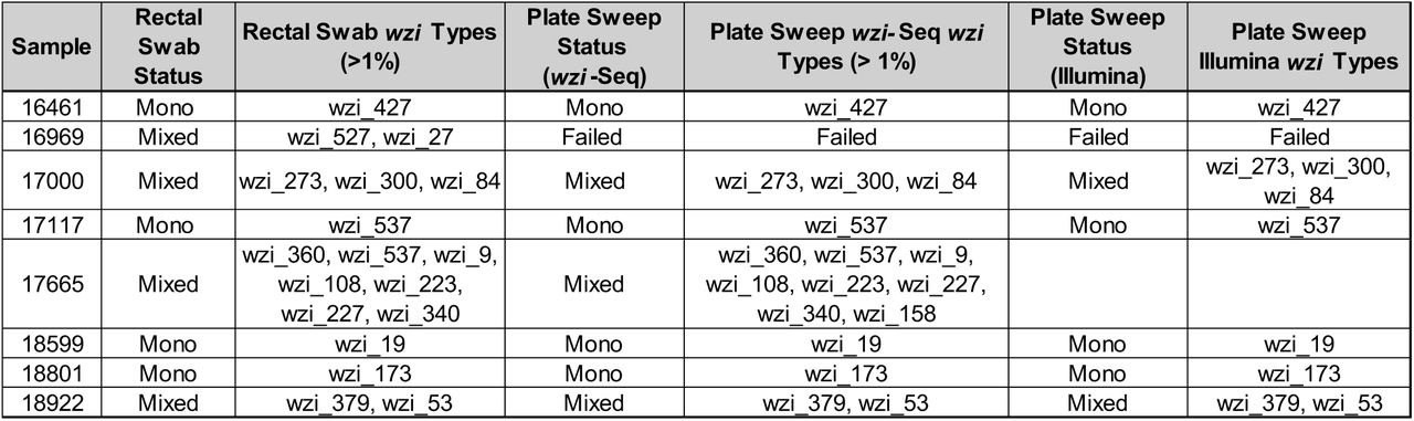 Illumina Sequencing of Rectal Swab Plate Sweeps Validates wzi-Seq Results