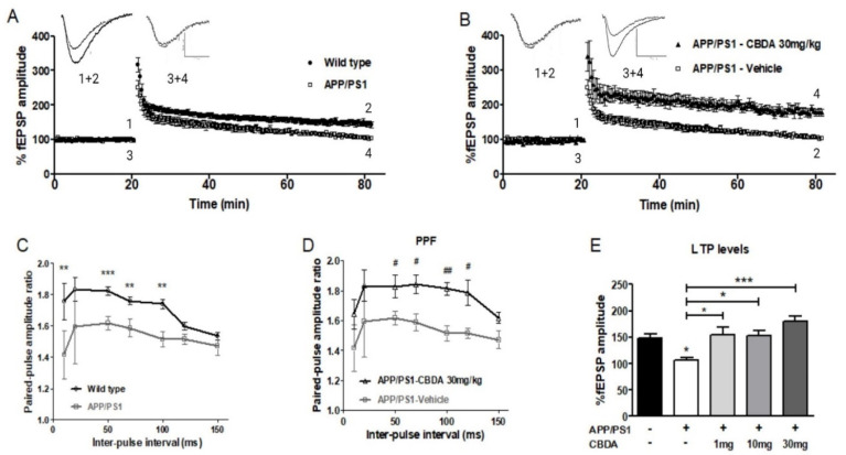 Chronic treatment with CBDA restores impaired levels of LTP in slices from 9-month-old APP/PS1 mice. (A) LTP recorded in APP/PS1 mice (3 + 4) and wild-type littermates (1 + 2); sample data traces: scale bar 0.5 mV /10 ms. (B) Graph of LTP recorded in slices from APP/PS1 mice treated with 30 mg/kg CBDA (3 + 4) and vehicle (1 + 2). (C) Paired-pulse facilitation (PPF) ratio was significantly decreased in slices from vehicle-treated APP/PS1 mice (n = 6) compared to wild-type littermates (n = 9) across a range of inter-pulse intervals (** p < 0.01; *** p < 0.001, unpaired t-test). (D) This deficit was significantly restored following chronic treatment with 30 mg/kg CBDA (n = 5) (unpaired t-test; # p < 0.05, ## p < 0.01). (E) Bar chart showing that LTP levels recorded in slices from vehicle-treated APP/PS1 mice (107.1 ± 4.3, n = 6) were significantly lower than in vehicle-treated wild-type mice (147.9 ± 8.0, n = 11). LTP was significantly increased in APP/PS1 groups following CBDA treatment with 1 mg/kg (155.1 ± 14.6, n = 6) (* p ≤ 0.5), 10 mg/kg (153.2 ± 9.9, n = 8) (* p ≤ 0.5), and 30 mg/kg CBDA (180.5 ± 8.8, n = 5) (*** p ≤ 0.001). Data presented as mean ± SEM and analysed using one-way ANOVA (and Bonferroni’s post hoc test to compare all pairs of columns).