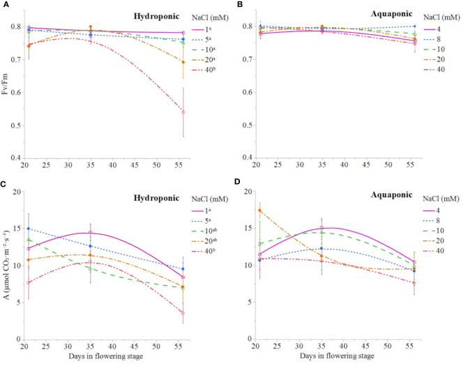 C. sativa leaf fluorescence parameter Fv/Fm and leaf net CO2 assimilation throughout the the flowering stage (time) for plants grown in hydroponic (A, C, respectively) and aquaponic (B, D, respectively) solution with different NaCl concentrations. Data points are mean ± standard error (n = 6). NaCl concentrations with differing superscript letters (i.e., a,b) indicate signficant differences according to contrast statements (F-tests) comparing all time points at P ≤ 0.0133 for Fv/Fm values and at P ≤ 0.0096 for A values.