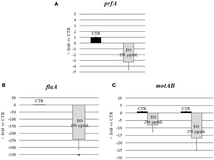 Expression of motility genes of L. monocytogenes strain #80466 grown in presence of the C. sativa EO. Gene expression was normalized to the expression of the 16S rRNA gene in the same conditions compared to the control and is presented as x-fold: (A) prfA; (B) flaA; (C) motA and motB. Mean values and standard deviations of three experiments. Asterisks indicate significant values compared with control (p ≤ 0.05). CTR, control (L. monocytogenes strain grown in the absence of EO).