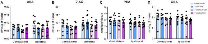 Investigation of endocannabinoid ligand and N-acylethanolamine levels (nmol/g of tissue) in dorsal lumbar spinal cord of male and female rats on day 42 following Sham and Spared Nerve Injury surgery. Levels of AEA (A), 2-AG (B), PEA (C) and OEA (D) were measured by liquid chromatography coupled to tandem mass spectrometry. Data expressed as mean ± SEM (n = 10 rats per group).