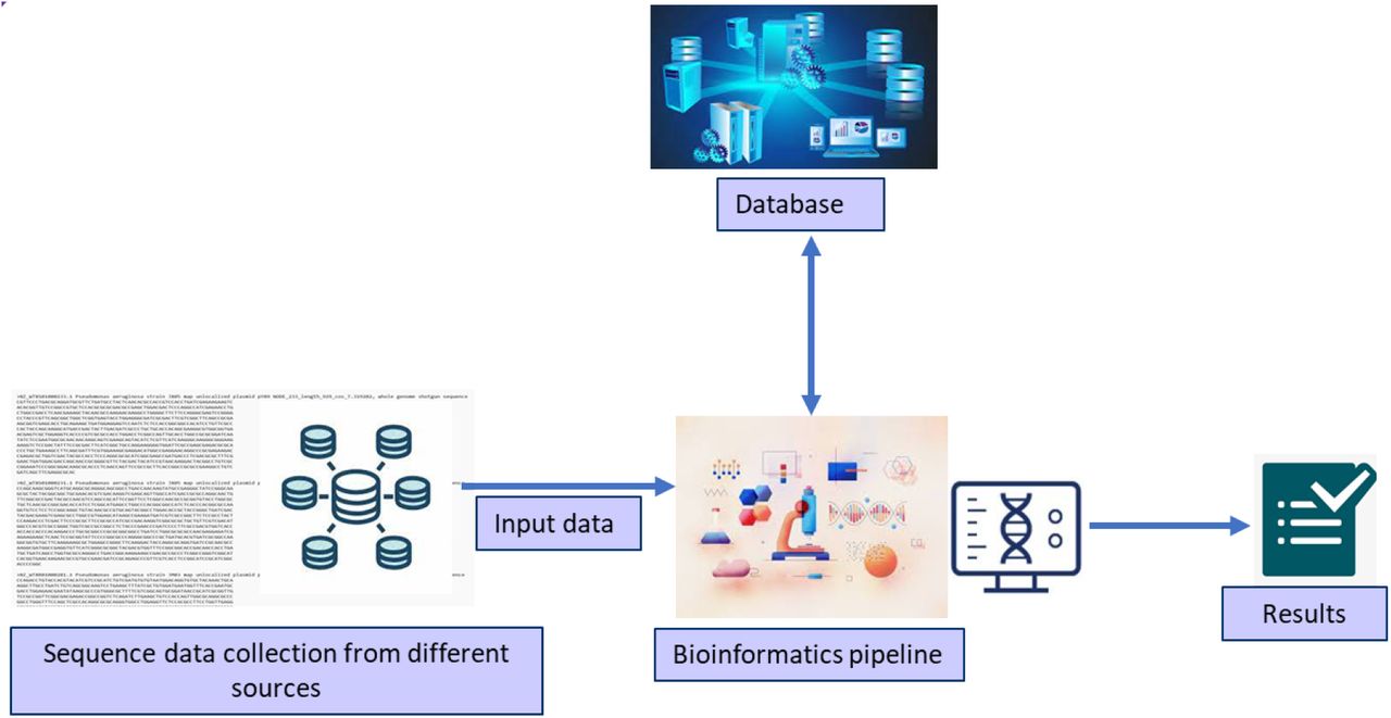 Working principle of AMR prediction tools.