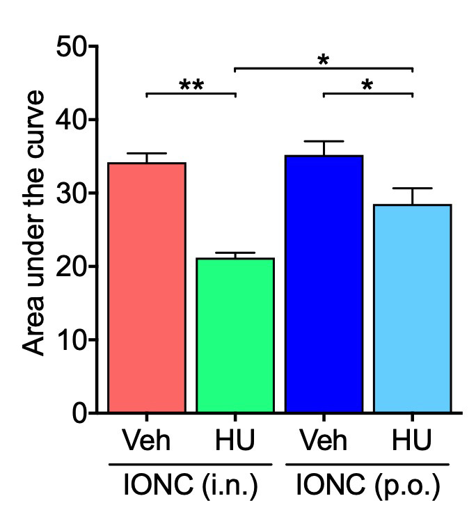 Comparative analysis of the effects of intranasal and oral administration of CB2 agonist on cold hypersensitivity in IONC mice. The area under the curve was determined from the acetone test data following either intranasal (i.n.) or oral (p.o.) repeated administration of HU-308 (HU, 30 nmole, 10 µL) and compared. Individual data and mean ± SEM are shown. N = 5; * p < 0.05, ** p < 0.01 (two-way ANOVA followed by Tukey’s multiple comparisons test).