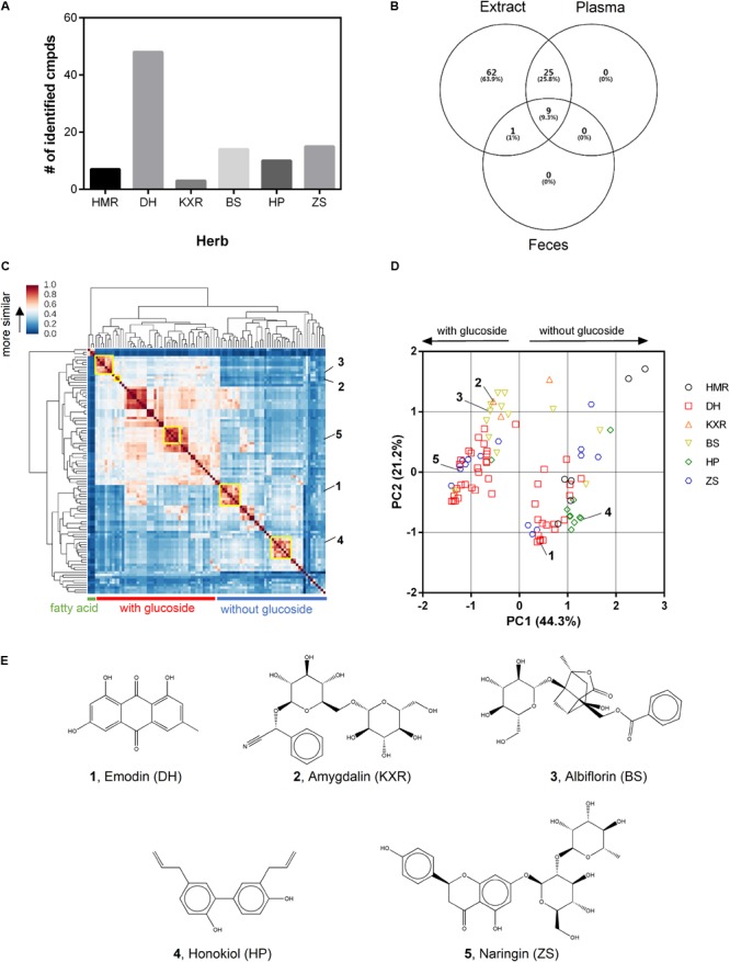 Identification of compounds of MZRW in extract and biological samples and selection of representative compounds. (A) Histogram of number of identified compounds by herbs. (B) Venn diagram of number of identified compounds by extract and biological samples. (C) Clustering analysis of identified compounds based on chemical similarity. Component groups were highlighted by yellow rectangle. (D) PCA analysis of identified compounds according to chemical similarity. (E) Representative compounds of each component group.