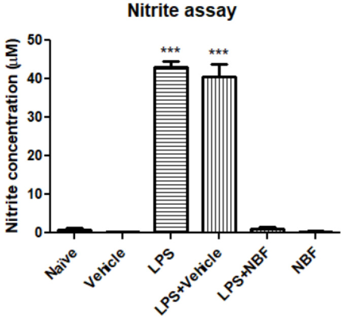NBF downregulates the secretion of nitrite in RAW264.7 macrophages following LPS stimulation. RAW 264.7 macrophages were exposed to 20 ng/mL LPS and simultaneously with the NBF, 20 µg/mL. Nitrite levels were measured using standard calibration curve with sodium nitrite and are presented as the mean ± SD. Four replicates in each group (n = 4). ANOVA followed by Bonferroni’s post hoc test was performed. *** p < 0.001 compared to all other groups.