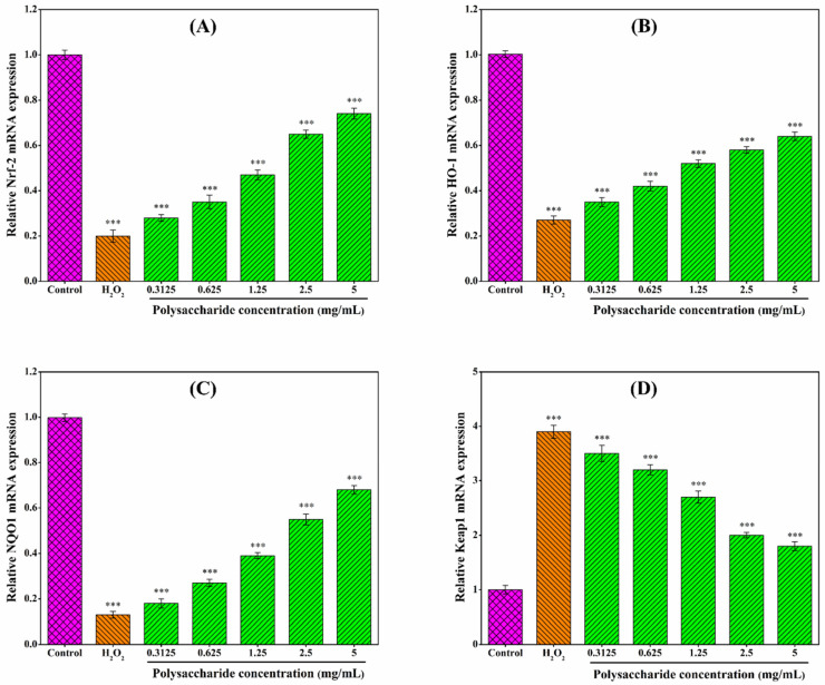 (A–D) Effects of CSLP on the mRNA expression of oxidative-related genes in H2O2-induced RAW 264.7 macrophages. *** p < 0.001 as compared to control group.
