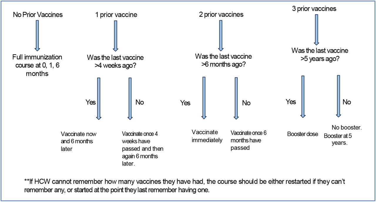 Planned vaccination schedule depending on previous vaccination status at an HBV vaccination drive for staff at Kilifi County Referral Hospital, Kenya. HCW – healthcare worker
