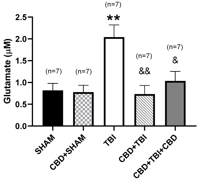 Effects of CBD administration on glutamate concentration at day 30 post-TBI. The SHAM and CBD + SHAM groups showed a similar glutamate concentration. TBI group showed a higher glutamate concentration when compared to the SHAM group. In contrast, CBD + TBI and CBD + TBI + CBD groups showed a glutamate concentration similar to the SHAM group. Values represent the mean ± standard error. ** p < 0.01 vs. SHAM; & p < 0.05 vs. TBI, && p < 0.01 vs. TBI (F(4,30) = 7.055, p = 0.0004, one-way ANOVA). CBD, cannabidiol; TBI, traumatic brain injury.
