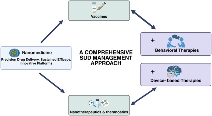 Nanomedicine‐driven hybrid solutions for a comprehensive SUD management.