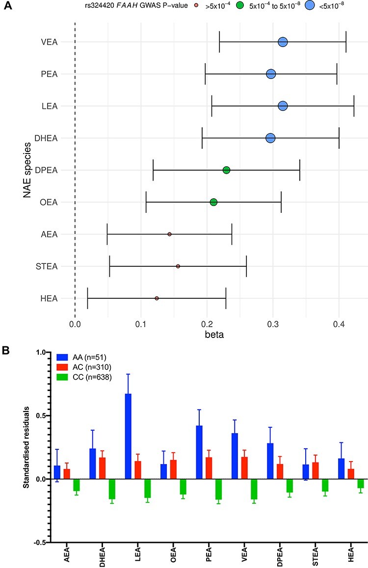 Family-based GWAS results for NAEs and the lead SNP in FAAH. (A) The forest plot depicts the effect (beta) and significance (GWAS P-value) for association between the lead SNP and eQTL of FAAH (rs324420) and each of 9 NAE species in 999 plasma samples. The P-values are grouped into ‘P < 5 × 10−8’, ‘P = 5 × 10−4–5.1 × 10−8’ and ‘P > 5 × 10−4’. (B) Trend in concentrations of plasma NAE species separated by FAAH rs324420 genotype. The figure depicts the mean standardized residuals of the NAE species in participants with the three genotypes at rs324420. The mean is shown with standard error. Fifty-one participants had the AA genotype, 310 had the AC genotype and 638 had the CC genotype in the cohort. (C) LocusZoom plot of the association of PEA with FAAH SNP rs324420. The LocusZoom plot depicts the association of NAE lipid species PEA with FAAH SNP rs324420 on chromosome 1 in 993 plasma samples. The r2 for each SNP is depicted in colour. The plot was created using the LocusZoom plot tools at http://locuszoom.sph.umich.edu/.