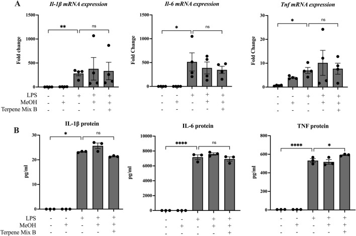Terpene Mix B does not attenuate inflammatory cytokine production in response to LPS. MH-S cells were pretreated for 1 h with Terpene Mix B followed by the addition of LPS for 24 h before analysis of (A) mRNA and (B) protein for IL-1β, IL-6 and TNF. Results are expressed as the mean ± SEM of 3–4 independent experiments. Kruskall Wallis multiple comparisons test was applied in panel B due to a protein concentration of 0 for untreated samples; ns, not significant, *P < 0.05, ****P < 0.0001.