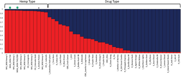 Bayesian clustering analysis from STRUCTURE with the proportion of inferred ancestry for two genetic groups (K=2) sorted by proportion of genotype assignment. Each individual is represented as a single bar in the graph. The NIDA samples are indicated by a green dot. * “Durban Poison” is a drug type assigned 0.95 to hemp ancestry. The letters preceding the sample name relate to the category the sample was place in (WH, wild hemp; CH, cultivated hemp; CBD, high CBD drug type; S, sativa drug type; H, hybrid drug type; I, Indica drug type).