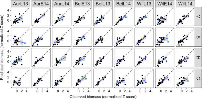 Visualization of model validation using observed biomass from nine site‐years of data, which took place in three locations over two years, in which some sites had experiment replicates. Data are standardized for each species within each site (μ = 0 and σ = 1). The blue line reflects a linear regression and the dotted line shows Observed = Predicted, reflecting a perfect prediction of the validation data. The shaded area represents the 95% confidence interval. Aur, Aurora, NY; Wil, Willsboro, NY; Bel, Beltsville, MD; “E” and “L” correspond to early and late planting date; 13 and 14 correspond to planting date year. C, cowpea; H, sunn hemp; M, pearl millet; S, sorghum sudangrass.