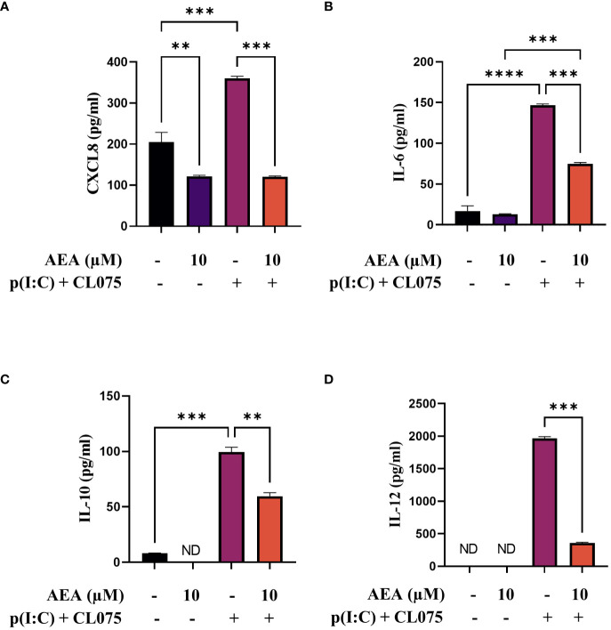 AEA can decrease CXCL8, IL-6, IL-10 and IL-12 cytokine production induced by TLR3 and TLR7/8 activation on moLCs. Monocytes were cultured in the presence of GM-CSF, TNFα, TGFβ and IL-4 (for 48 hrs) for 5 days to generate moLCs in the presence of 10 µM AEA, vehicle (0.1 v/v% absolute ethanol). Maturation was induced on day 4 by p(I:C) (20 µg/ml) and CL075 (0.5 µg/ml), both applied for 24 hours. N≥3 mean ± SD. CXCL8 (A), IL-6 (B), IL-10 (C) and IL-12 (D) production was determined with ELISA from supernatants. Bar plots represent mean ± SD of representative results from N≥3 independent experiments, ** p < 0.01, ***p < 0.001, **** p<0.0001 compared to the marked groups as determined by repeated measures one-way ANOVA. ND, not determined. AEA, N-arachidonoylethanolamine, anandamide; CL075: TLR7/8 agonist, p(I:C), Polyinosinic:polycytidylic acid, TLR3 agonist.