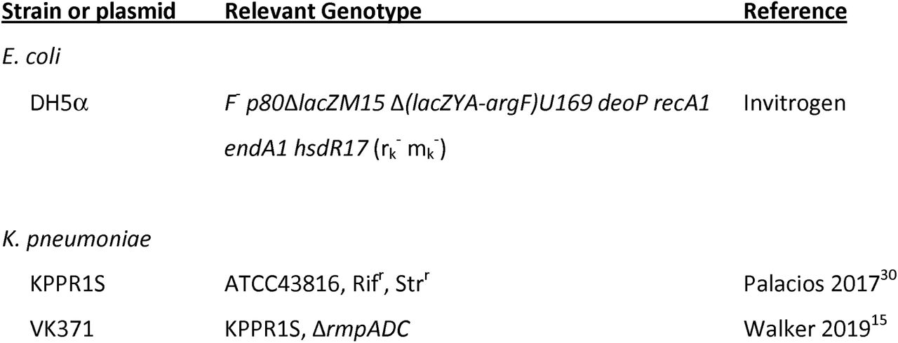Strains and plasmids used in this work