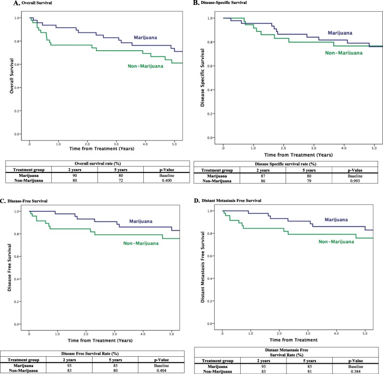 Survival Outcomes. a. Overall Survival. b. Disease-Specific Survival. c. Disease-Free Survival. d. Distant Metastasis Free Survival