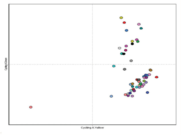 Scatter Plot of 60 CIP and Dependence Cases.A green channel intensity on the Y-axis against a yellow channel intensity on the X-axis.Quadrants represent genotypes: Upper left: Homozygous TT, Lower left: No Amplification, Upper right: Heterozygous CT, Lower right: Homozygous CC.