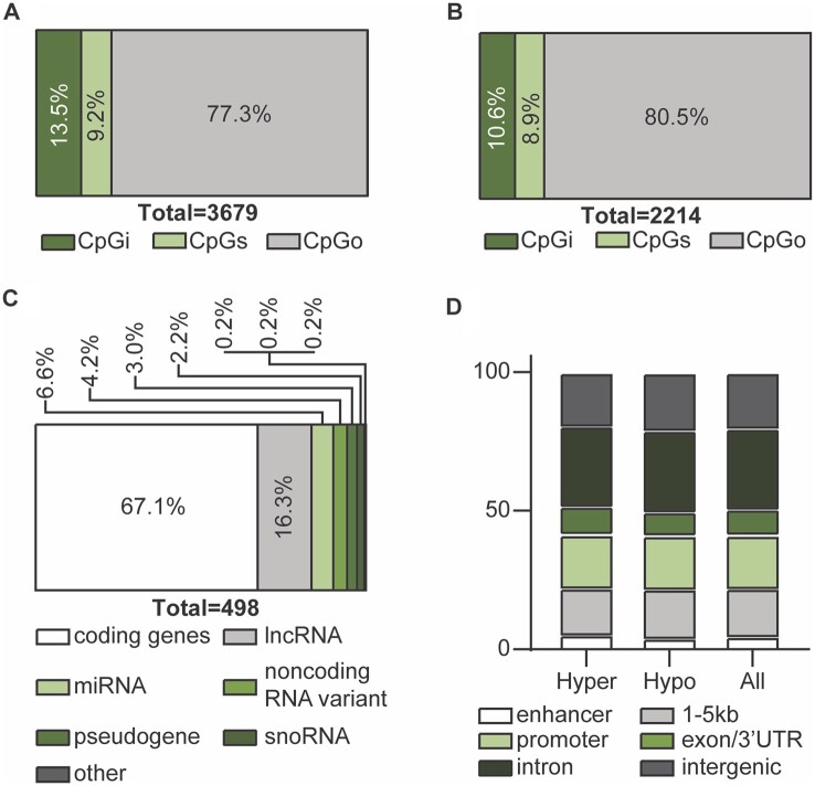 Localization and genomic feature annotation associated with differentially methylated sites (DMS) in case versus control groups. (A) Of the 3679 DMS, 497 were associated with CpG islands (CpGi) (13.5%), 339 were associated with CpG shores (CpGs) (9.2%) and 2843 were not associated with either CpGi or CpGs and deemed CpGother (CpGo) (77.3%). (B) Of the 2214 unique genomic features that the DMS mapped to, 251 were associated with CpGi (10.6%), 210 were associated with CpGs (8.9%) and 1900 were not associated with either and deemed CpGo (80.5%). (C) Stratification of unique genomic feature biotypes of DMS within ±5 kb of the transcription start site. (D) Proportions of DMS in hypo-, hyper-methylated and all DMS associated with specific genic annotation using the ‘annotatr’ package.