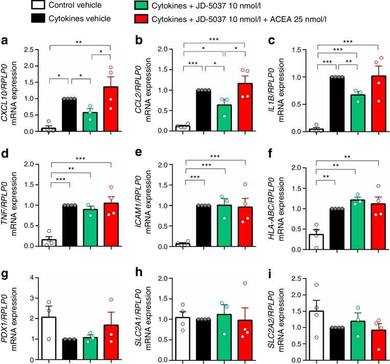 CB1R modulates chemokine expression upon cytokine insult in human islets. Human islets were treated with JD-5037 (10 nmol/l), JD-5037 in combination with ACEA (25 nmol/l), or vehicle before an insult with cytokines, and samples were collected after 24 h for RNA extraction. Expression of CXCL10 (a), CCL2 (b), IL1B (c), TNF (d), ICAM1 (e), HLA-ABC (f), PDX1 (g), SLC2A1 (h) and SLC2A2 mRNA (i) was measured. The expression of RPLP0 was used as a control. Data are mean ± SEM, n=4 donors. *p<0.05, **p<0.01 and ***p<0.001 (by one-way ANOVA; Tukey post hoc test)